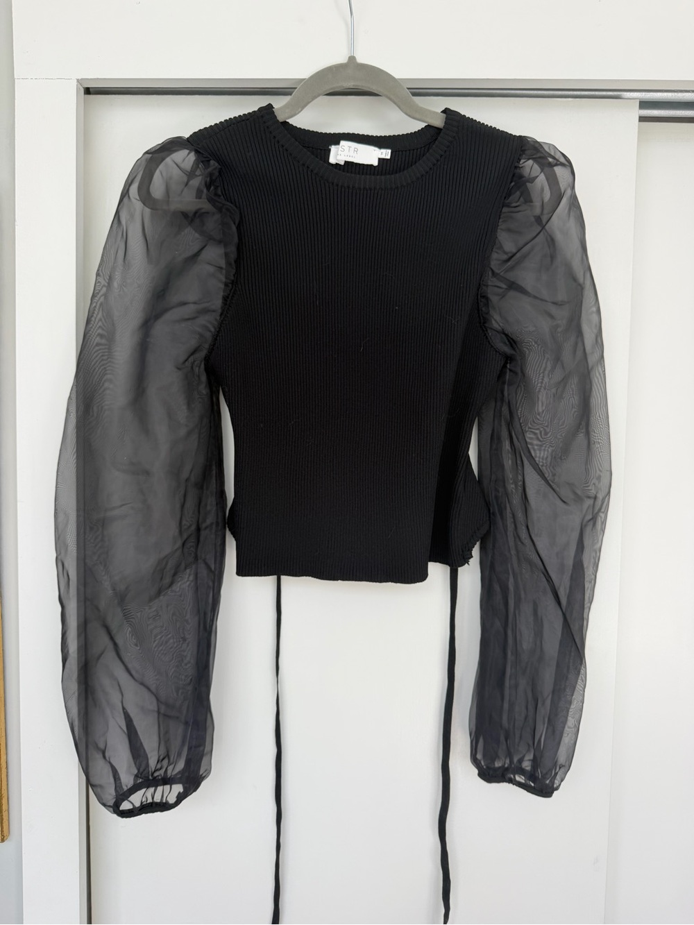 Astr Black Ribbed Bodice Top with Sheer Puff Sleeves